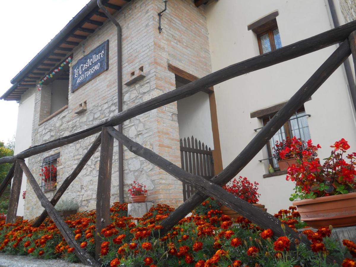 Agriturismo Le Castellare Montemonaco Bagian luar foto