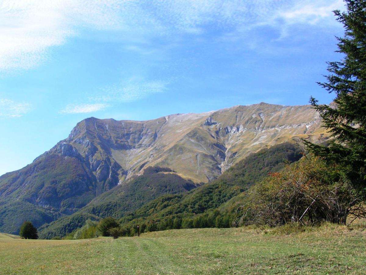 Agriturismo Le Castellare Montemonaco Bagian luar foto