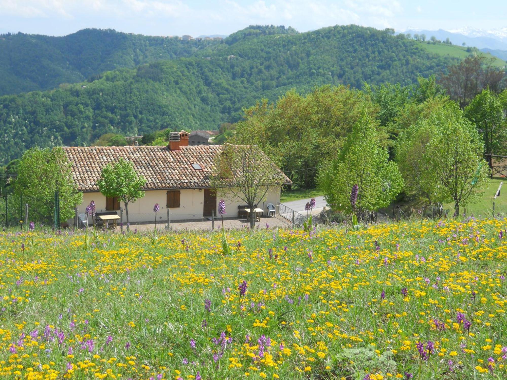 Agriturismo Le Castellare Montemonaco Bagian luar foto