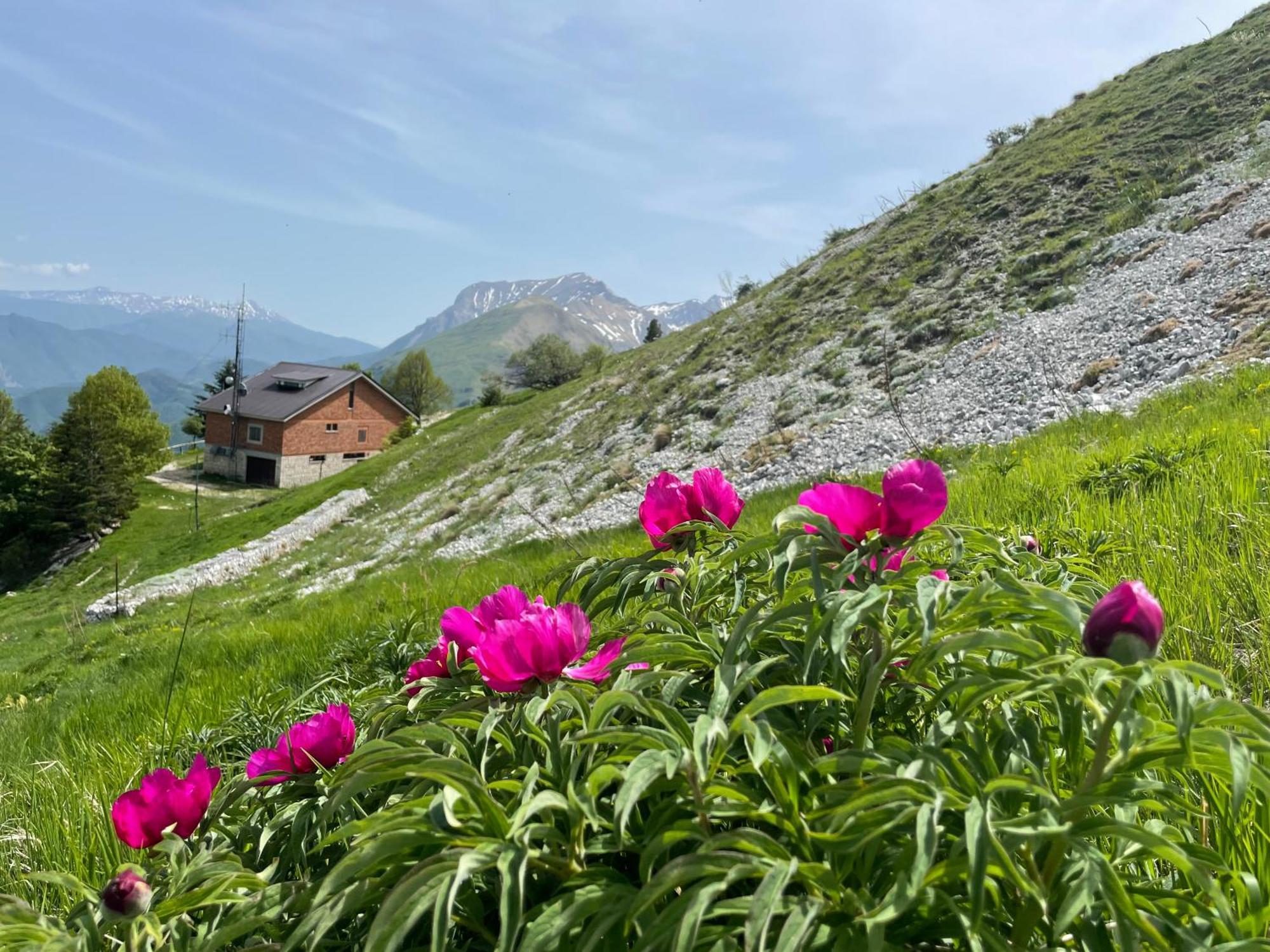 Agriturismo Le Castellare Montemonaco Bagian luar foto