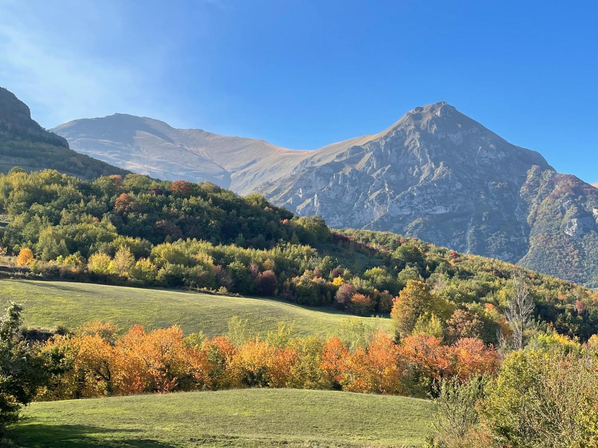 Agriturismo Le Castellare Montemonaco Bagian luar foto