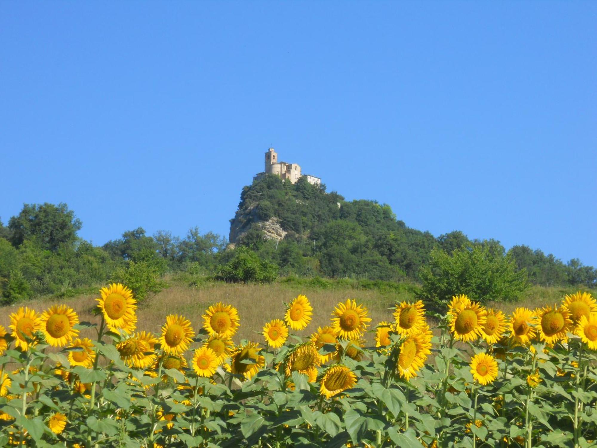 Agriturismo Le Castellare Montemonaco Bagian luar foto