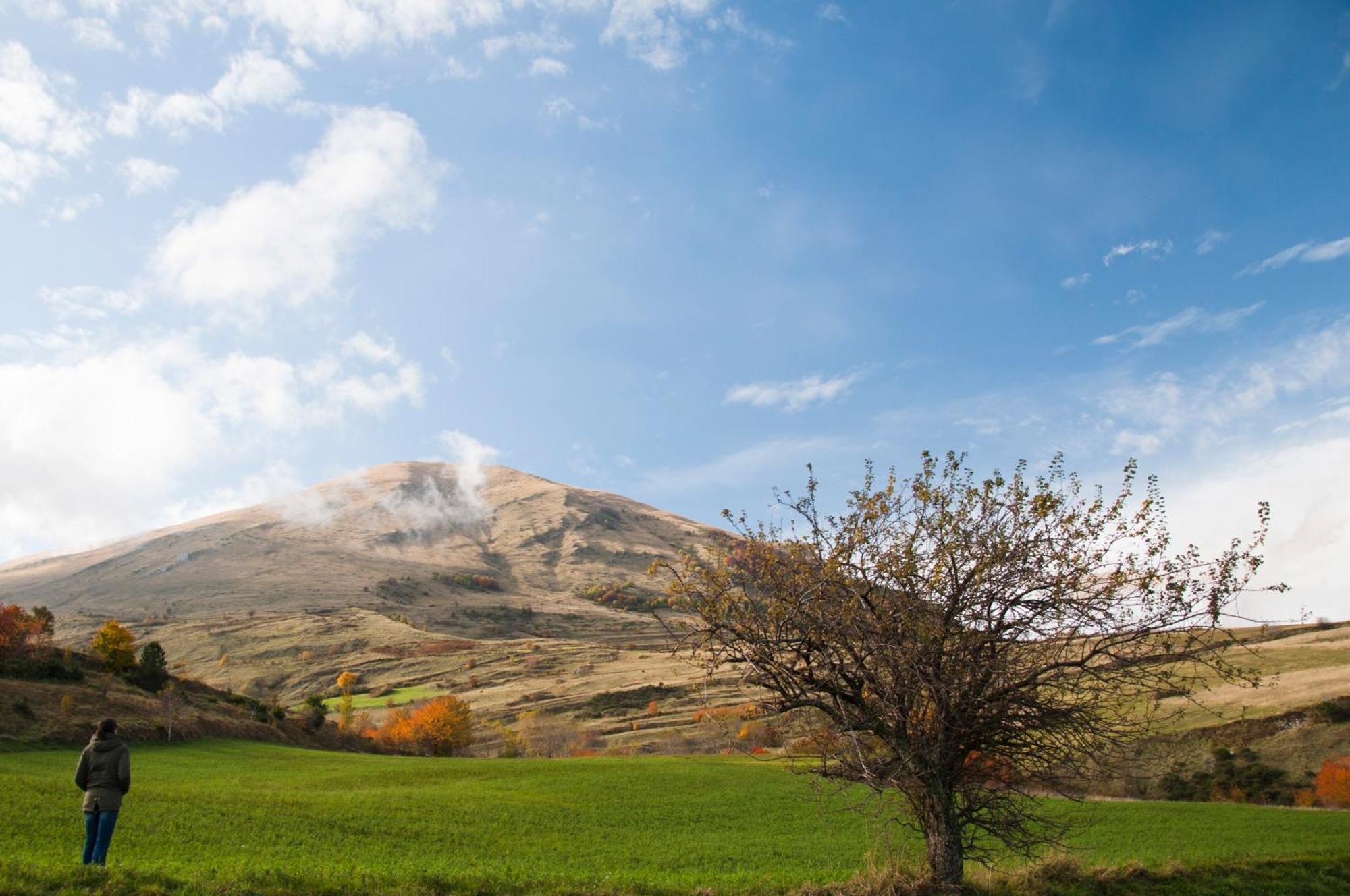 Agriturismo Le Castellare Montemonaco Bagian luar foto